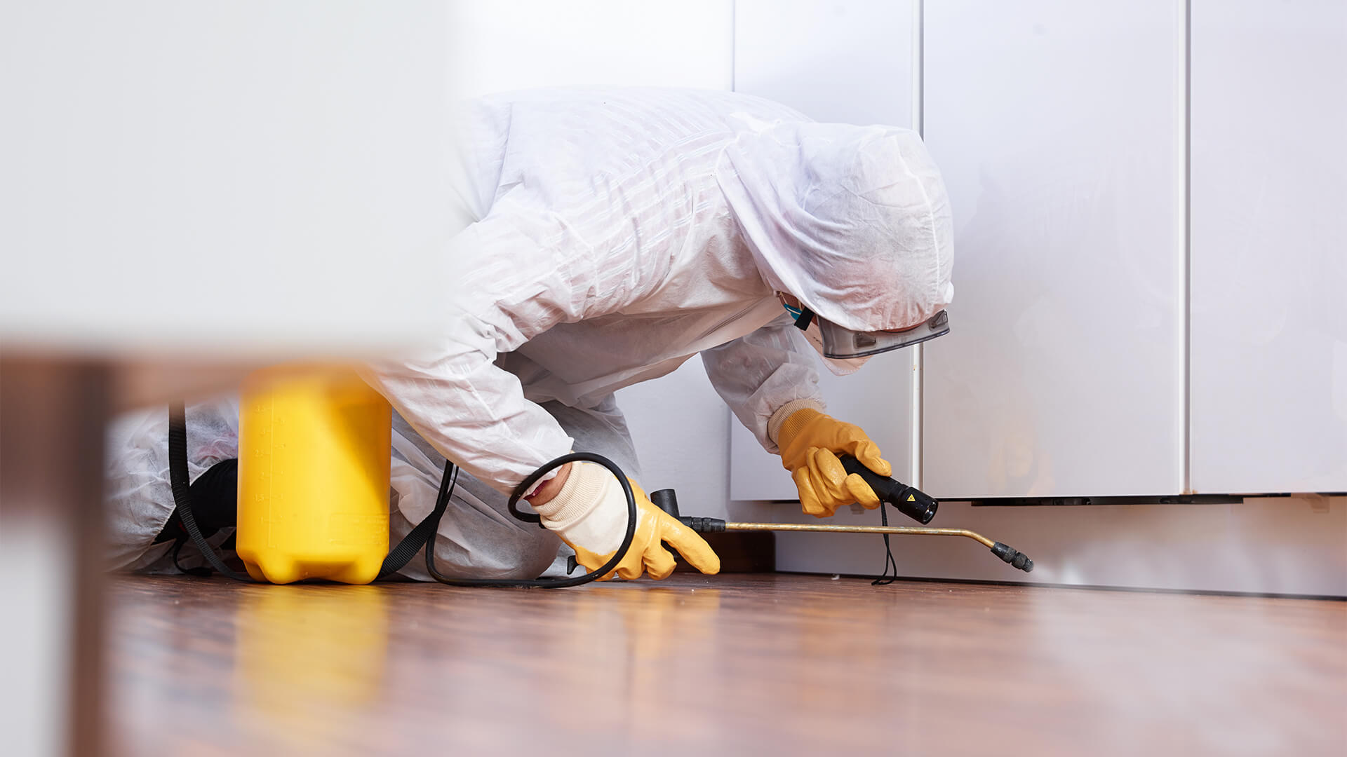 Keeping Your Space Pest-Free: The Importance of Pest Exterminators