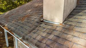 Top to Bottom: Comprehensive Roof Replacement Solutions