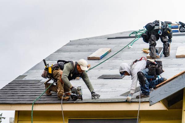 Understanding Roofing Contractor Services in Wellington: A Comprehensive Guide