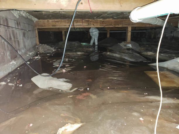 Professional Water Damage Restoration for Cypress Residents